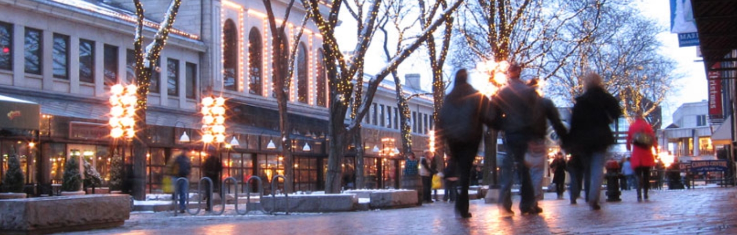 two people walking on courtyard with trees